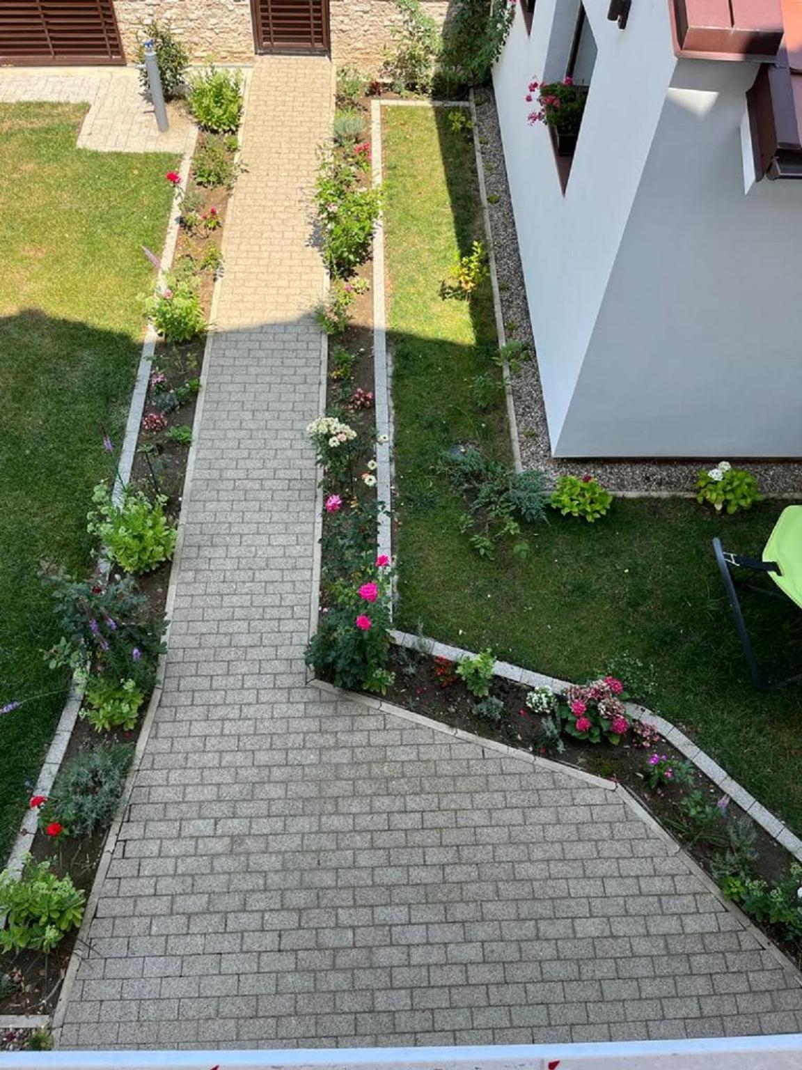 Trend Panzió Arad Kültér fotó